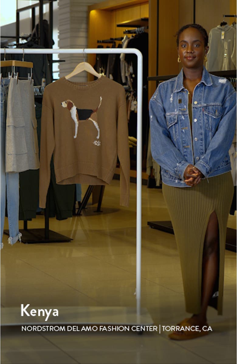 Intarsia Beagle Cotton Sweater, sales video thumbnail