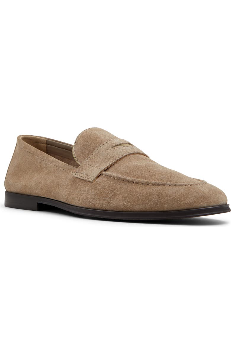 ALDO Journey Loafer, Main, color,