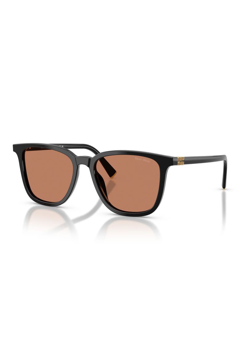 53mm Square Sunglasses, Alternate, color, BLACK / BROWN