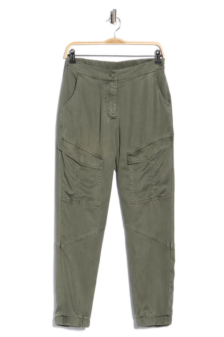 Harrison Cargo Pants, Main, color, REED PIGMENT