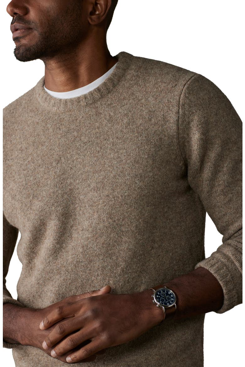 Homebound Crewneck Sweater, Alternate, color, TOASTED CHESTNUT