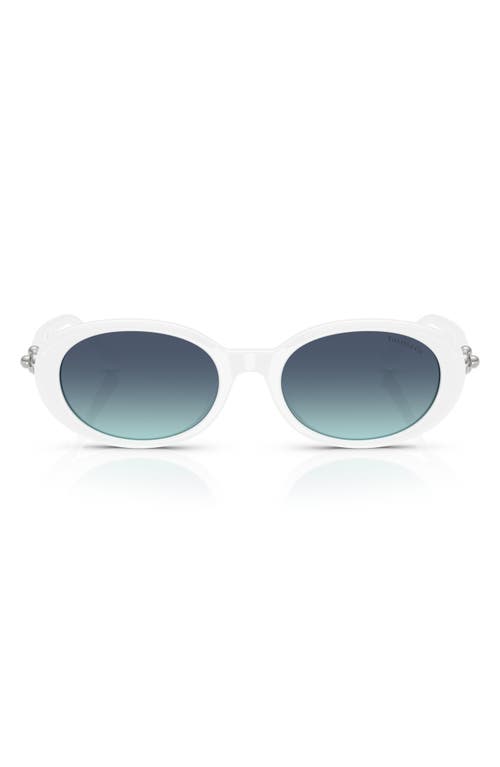 Tiffany & Co . 54mm Oval Sunglasses In Multi