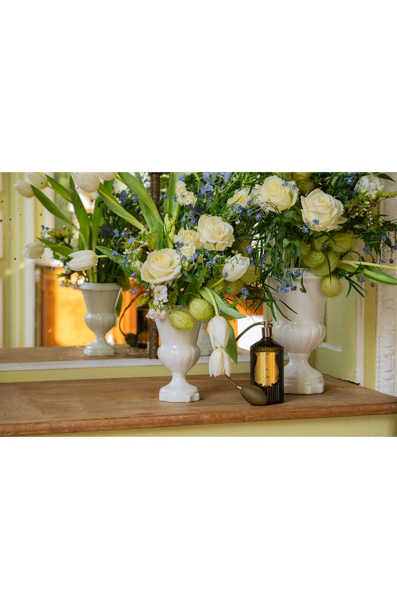 Trudon Ernesto Leather & Tobacco Room Spray, Alternate, color, 