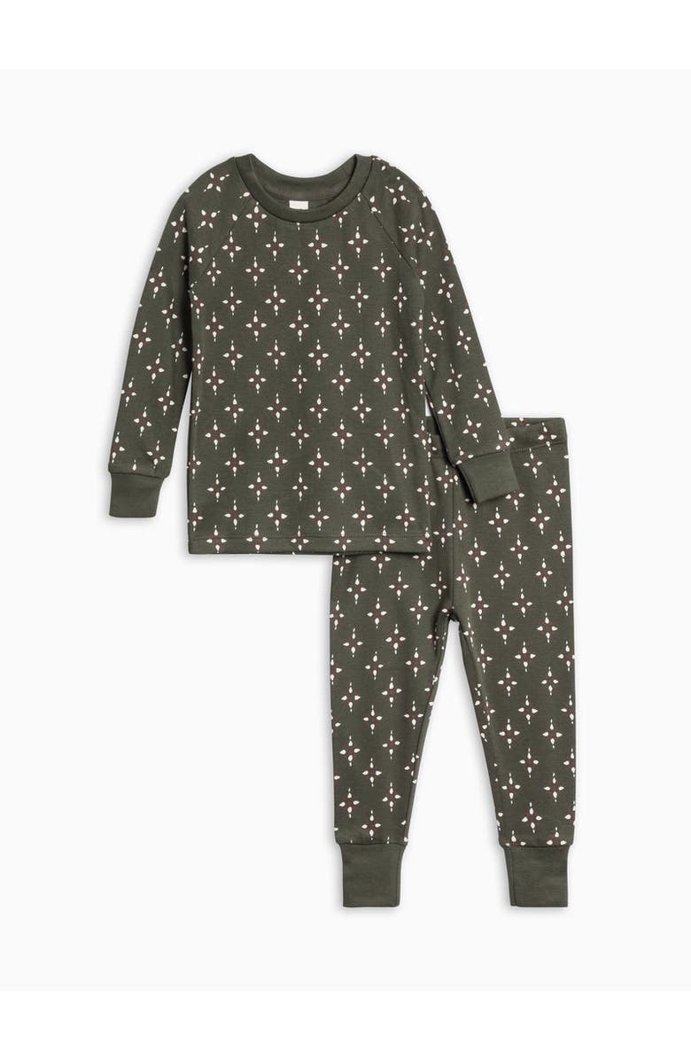 Colored Organics Organic Holiday 2 Piece Long Sleeve Jammie Set, Main, color,