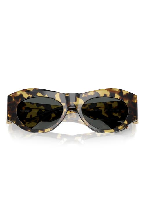 Versace 52mm Oval Sunglasses In Havana