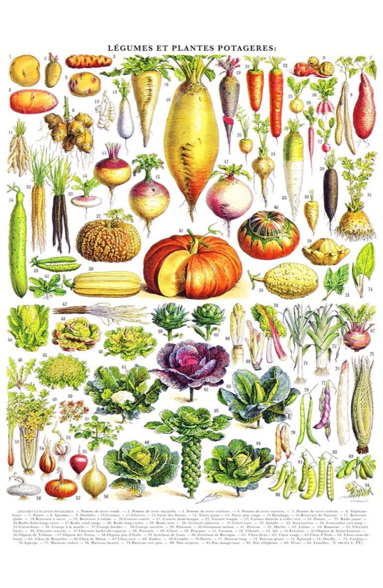NEW YORK PUZZLE COMPANY Vegetables ~ Légumes 1000 Piece Puzzle, Alternate, color, NO COLOR