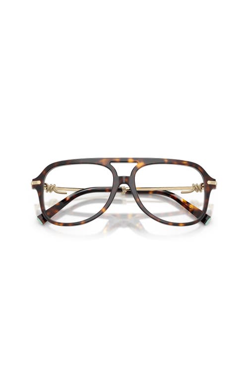 Tiffany & Co . 54mm Pilot Optical Glasses In Brown