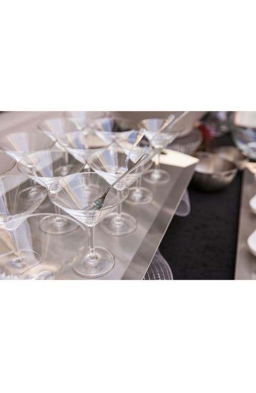 Schott Zwiesel Basic Bar Set Of 6 Martini Glasses In Transparent