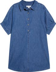 Treasure & Bond Chambray Polo Shift Dress
