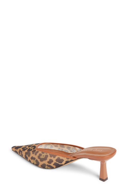 Steve Madden Lisbeth Pointed Toe Mule