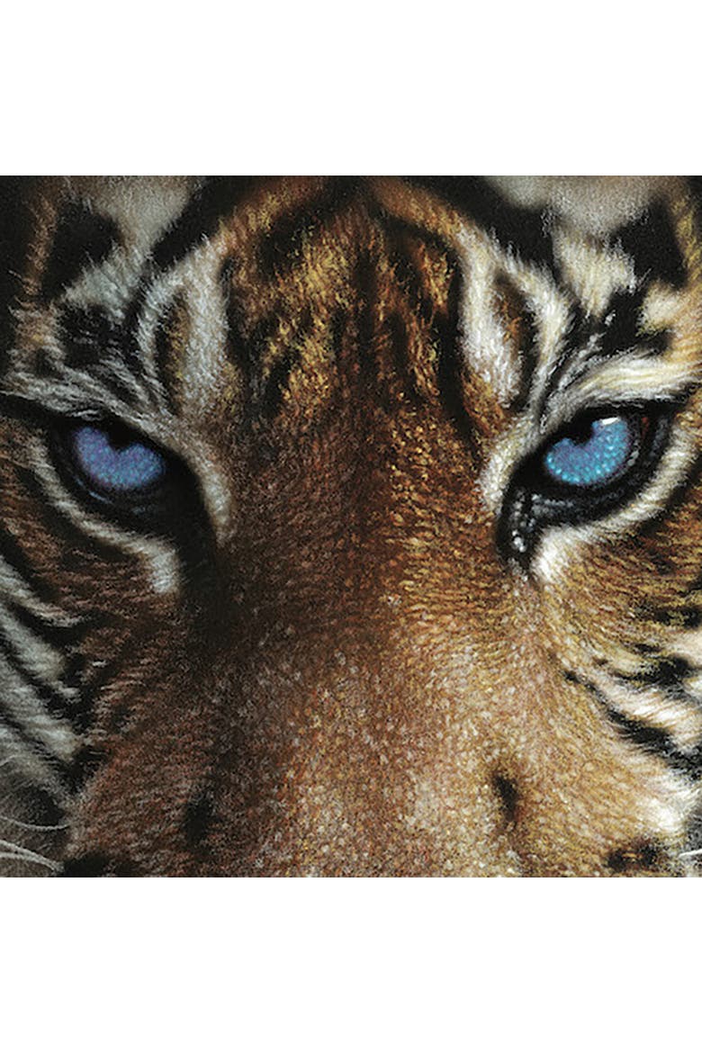 Blue Eyes Tiger 24 x 30 Inch 1000 Piece Puzzle, Alternate, color, Multicolored