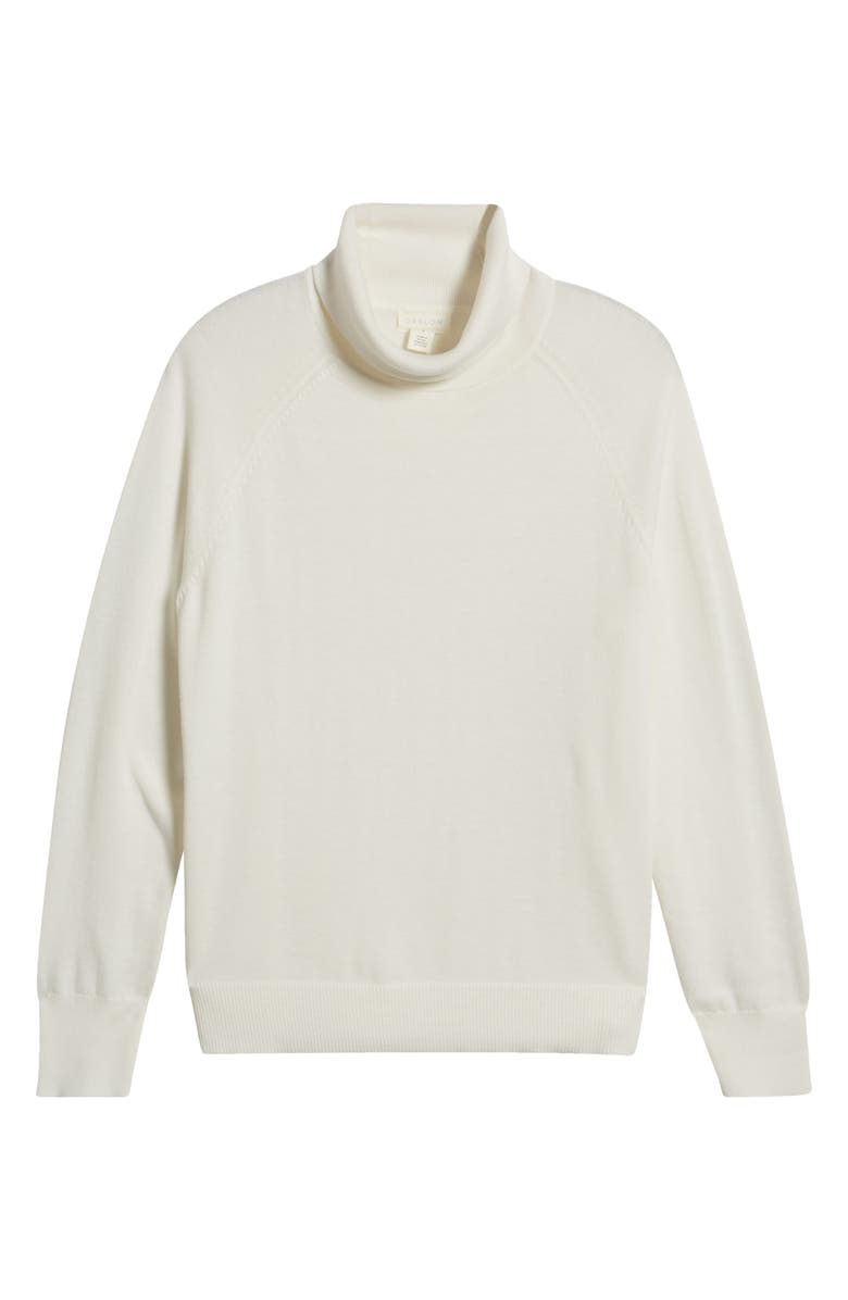 Caslon<sup
®</sup
 Cozy Turtleneck Sweater, Alternate, color, 