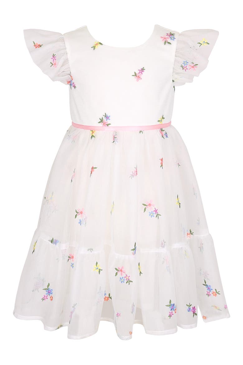 Kids' Embroidered Mesh Party Dress, Main, color, IVORY