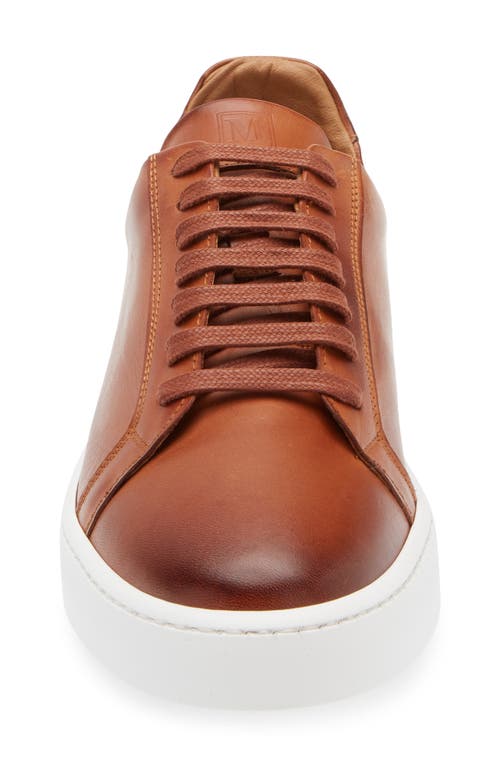 Bruno Magli Magnifico Low Top Sneaker In Cognac