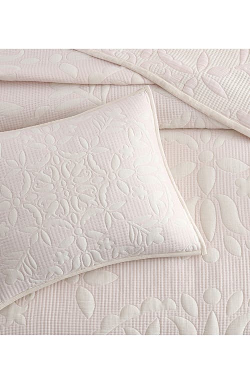 Peri Home Medallion Floral Comforter & Shams Set In Pink