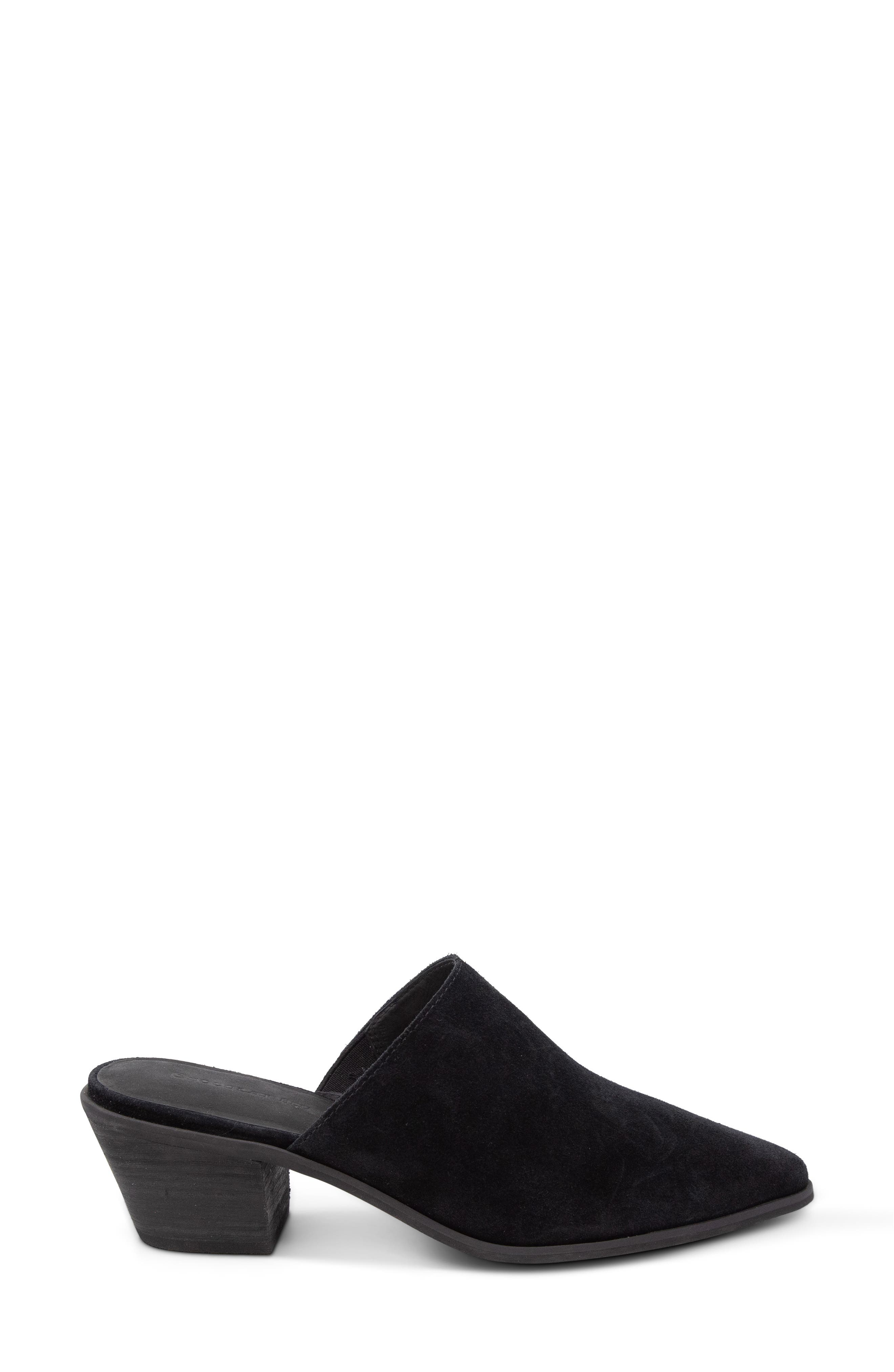 Chocolat Blu Cellia Pointed Toe Mule, Alternate, color, Black Suede