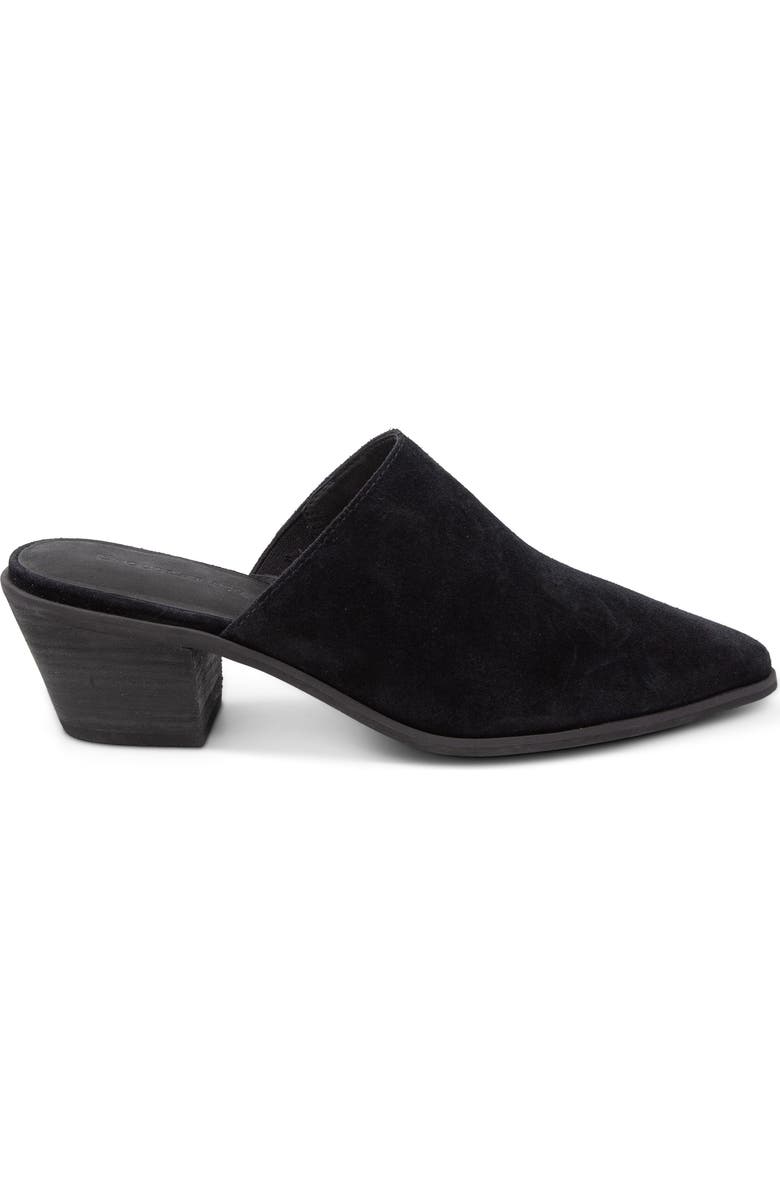 Chocolat Blu Cellia Pointed Toe Mule, Alternate, color, Black Suede