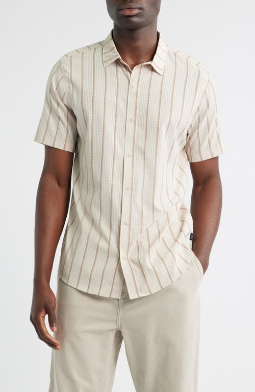 Roark Bless Up Short Sleeve Button-up Shirt In Animal Print