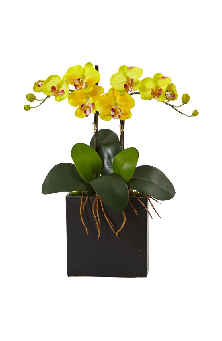 NEARLY NATURAL 18.5-in Double Mini Phalaenopsis in Black Vase Yellow, Main, color, Yellow