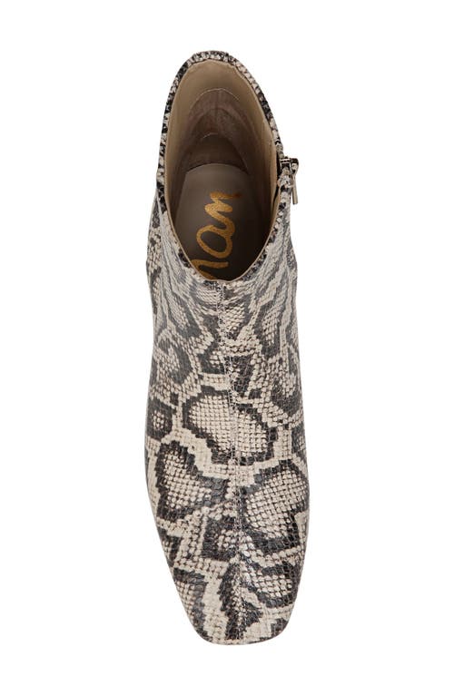 Sam Edelman Paige Ankle Bootie Roccia Grey Snake Print In Roccia