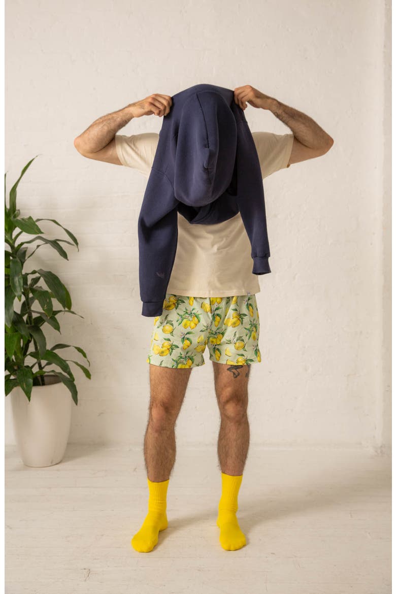 Organic Cotton Watercolor Lemons Boxer Short, Alternate, color, LAVENDER