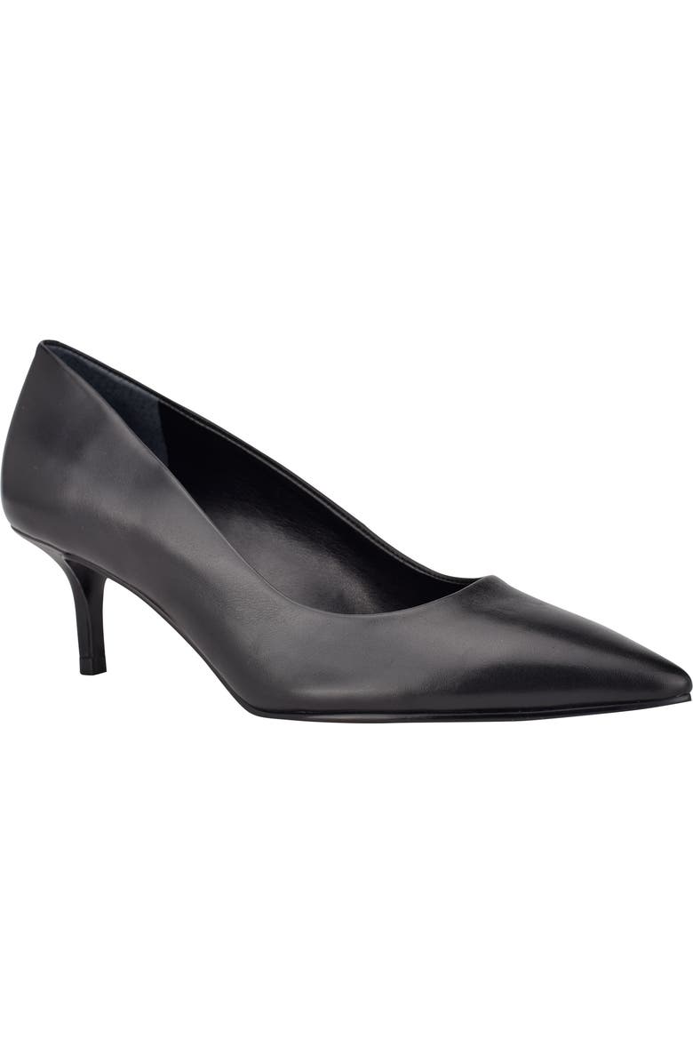 Calvin Klein Danica Pointed Toe Pump, Main, color,