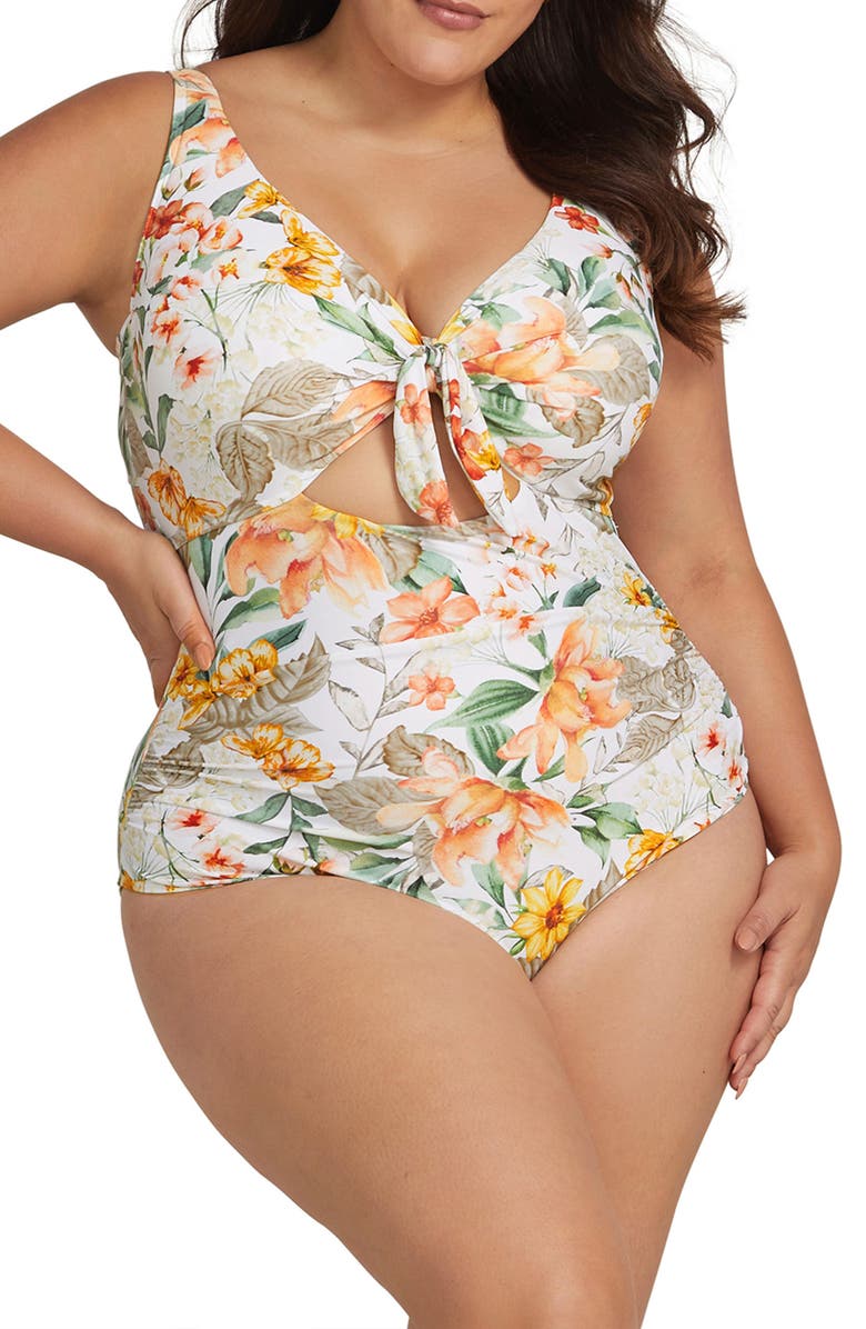 Artesands La Dolce Vita Cezanne D- & DD-Cup Underwire One-Piece Swimsuit, Main, color,