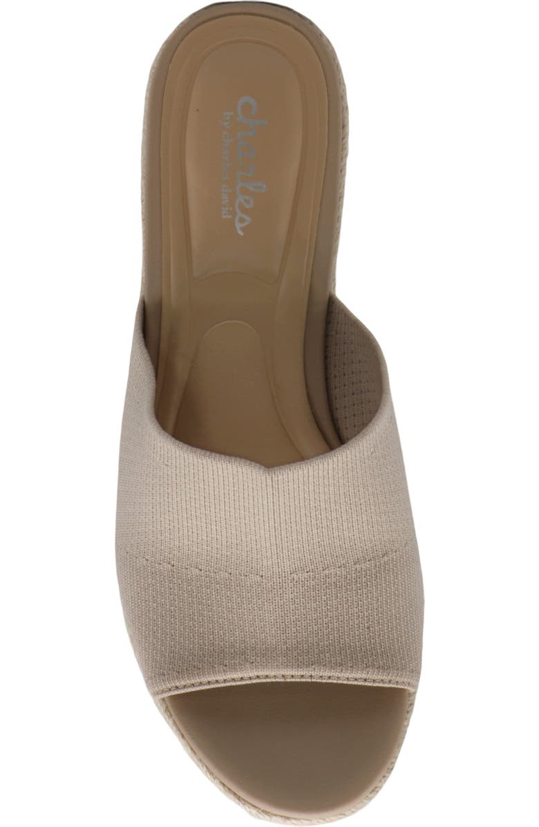 Charles by Charles David Jeremy Espadrille Platform Wedge Slide Sandal, Alternate, color,
