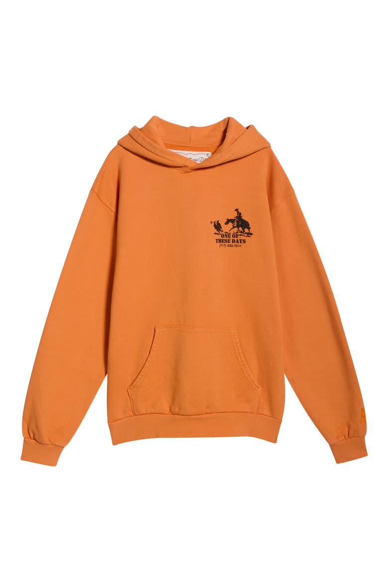 Roundup Fleece Graphic Hoodie, Alternate, color, ORANGE