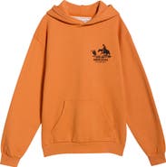 ONE OF THESE DAYS Roundup Fleece Graphic Hoodie