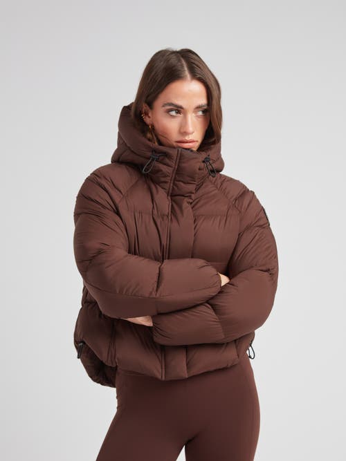 Jack1t Cloud Cropped Hooded Puffer Jacket In Brown