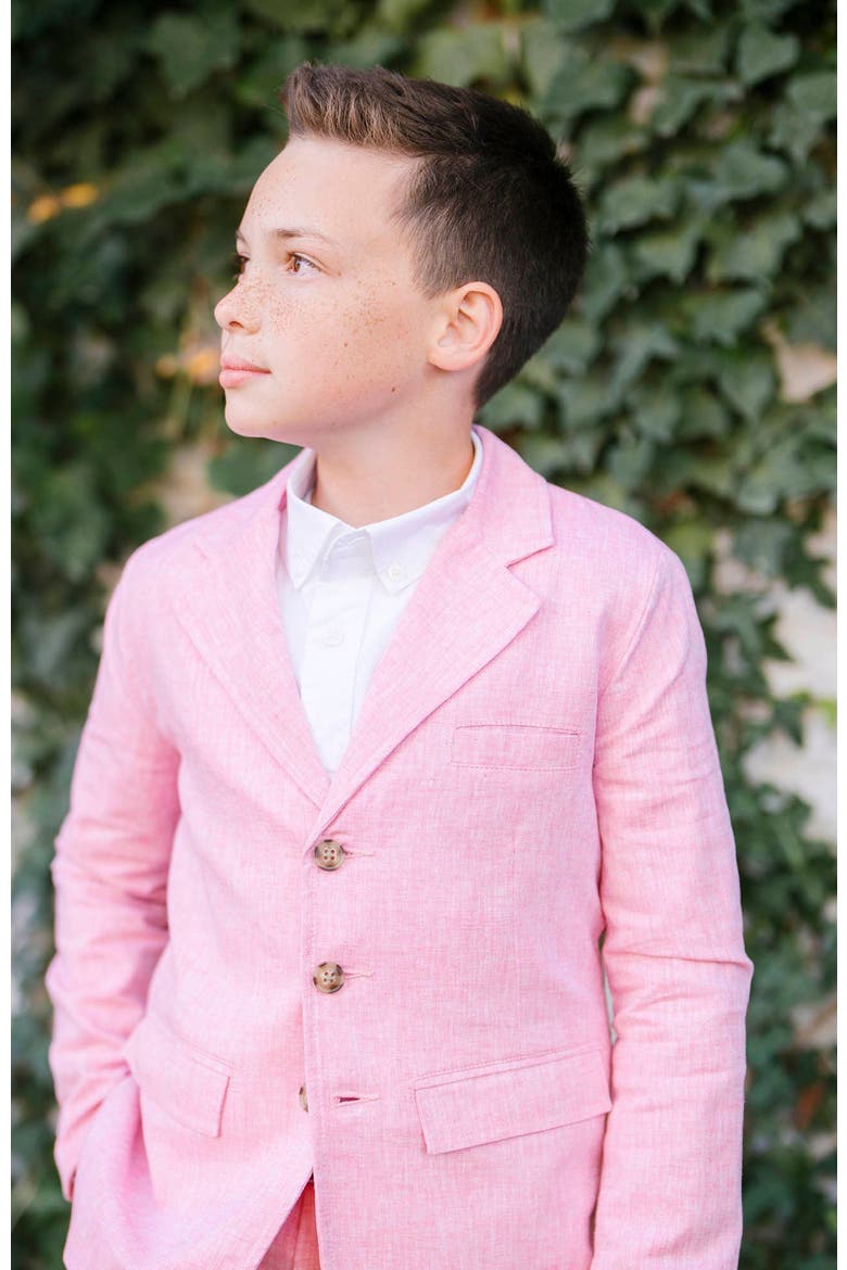 Boys' Linen Suit Pant, Kids, Alternate, color, Rose Linen