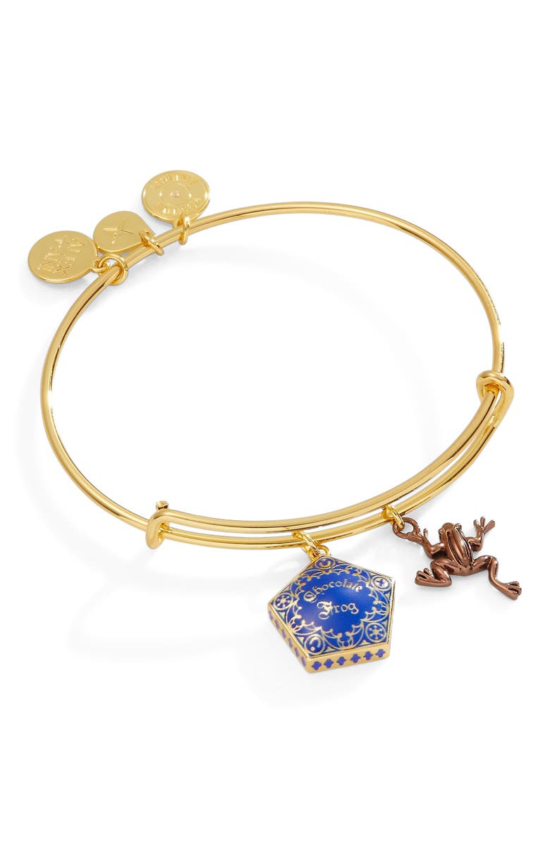 Alex and Ani Harry Potter Chocolate Frog Two-Charm Bangle Bracelet, Main, color, Blue