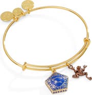 Alex and Ani Harry Potter Chocolate Frog Two-Charm Bangle Bracelet