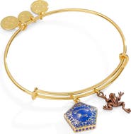Alex and Ani Harry Potter Chocolate Frog Two-Charm Bangle Bracelet