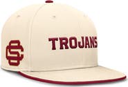Nike Men's Nike Natural USC Trojans 2026 Primetime Natural True Fitted Hat