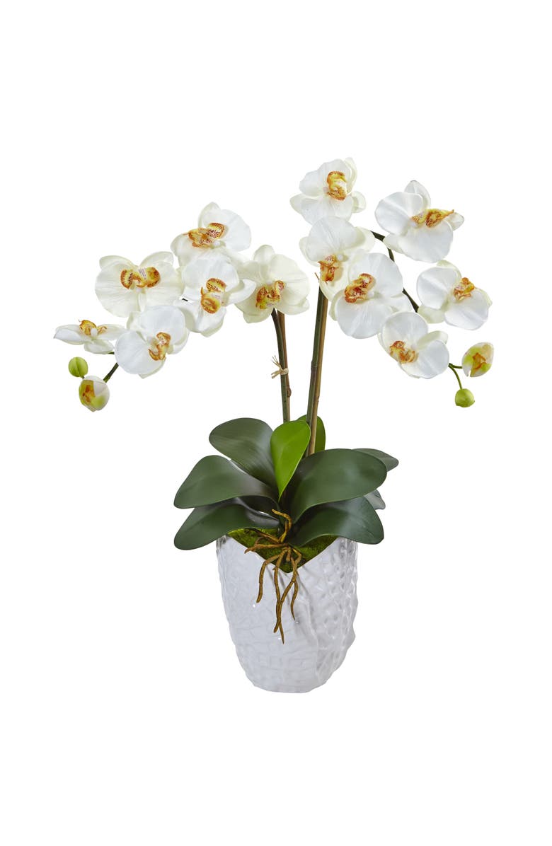 NEARLY NATURAL Double Phalaenopsis Orchid Artificial Arrangement in White Vase, Main, color, Cream