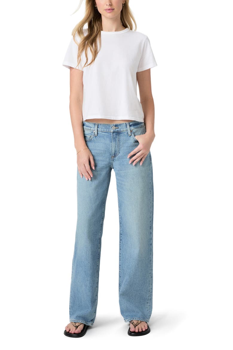 Dana Low Rise Relaxed Straight Leg Jeans, Alternate, color, SEPULVEDA