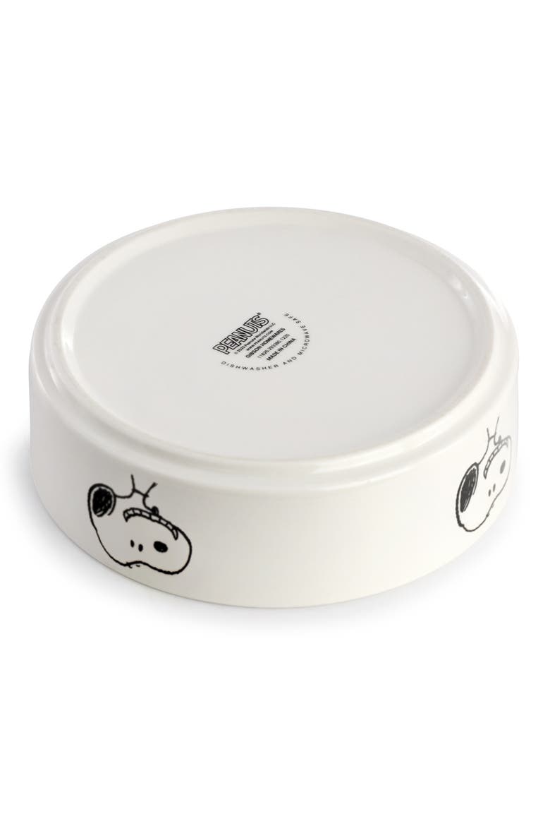 Suppertime Favorites 6.5in Stoneware Pet Bowl, Alternate, color, White