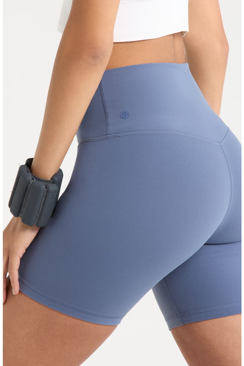 Studio Luxe Bike Shorts, Alternate, color, BLUE VINTAGE