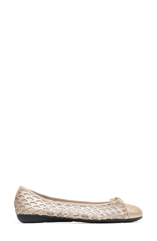 Paul Mayer Brandy Mesh Ballet Flat
