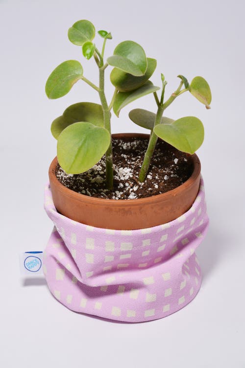 Dance Happy Micro Grid Round Bin/canvas Planter In Lilac