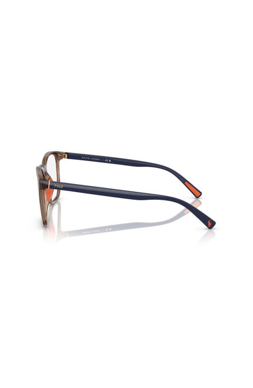 Polo Ralph Lauren 52mm Rectangle Optical Glasses In Brown