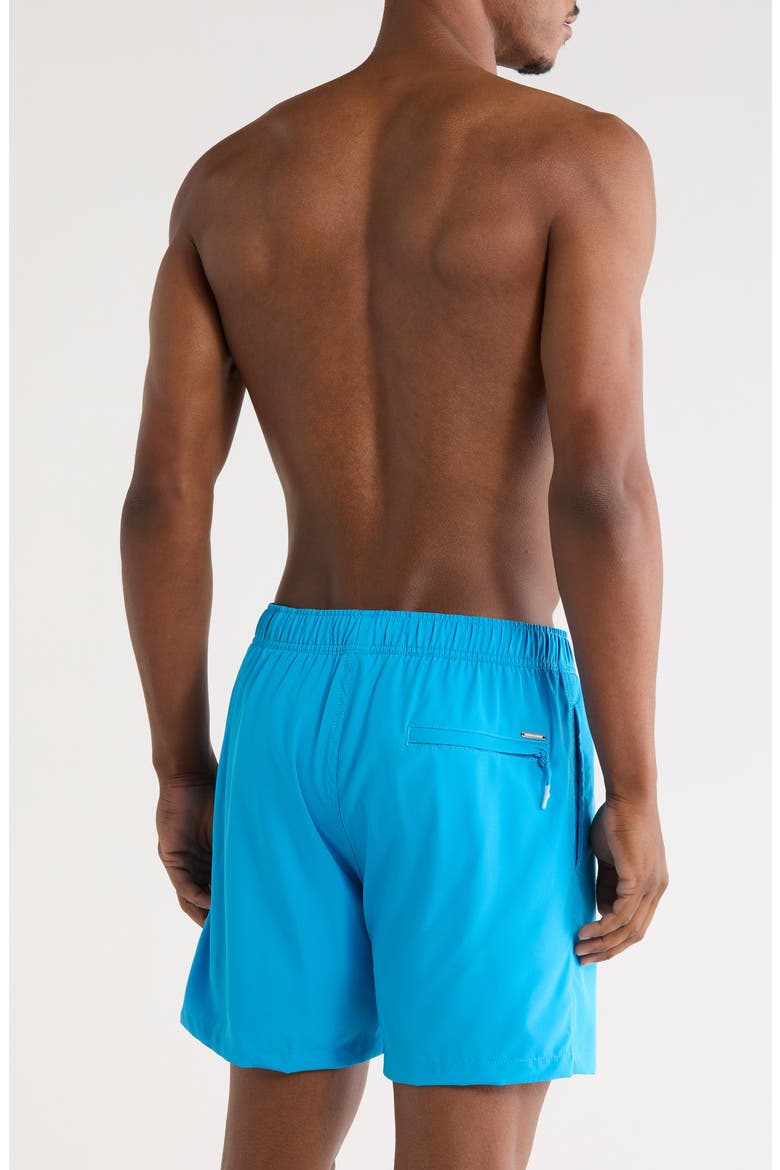 Performance Volley Swim Shorts, Alternate, color, BRIGHT BLUE