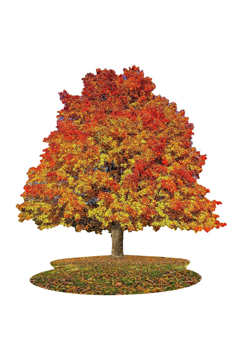 I Am Sugar Maple 1000 Piece Tree Shaped Jigsaw Puzzle, Alternate, color, Multicolored