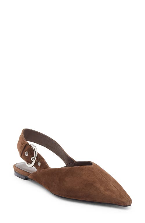 Jeffrey Campbell Scone Slingback Pointed Toe Flat In Brown