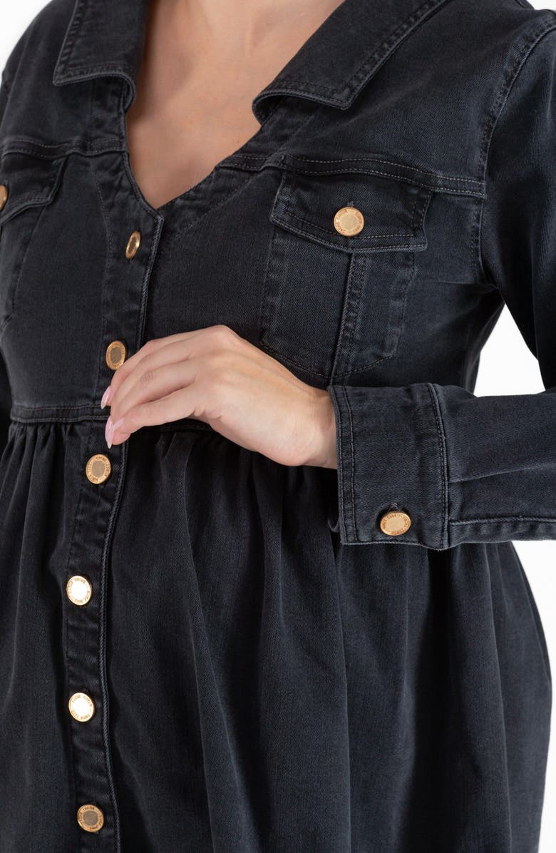 Cache Coeur Nina Long Sleeve Denim Maternity/Nursing Dress, Alternate, color, 