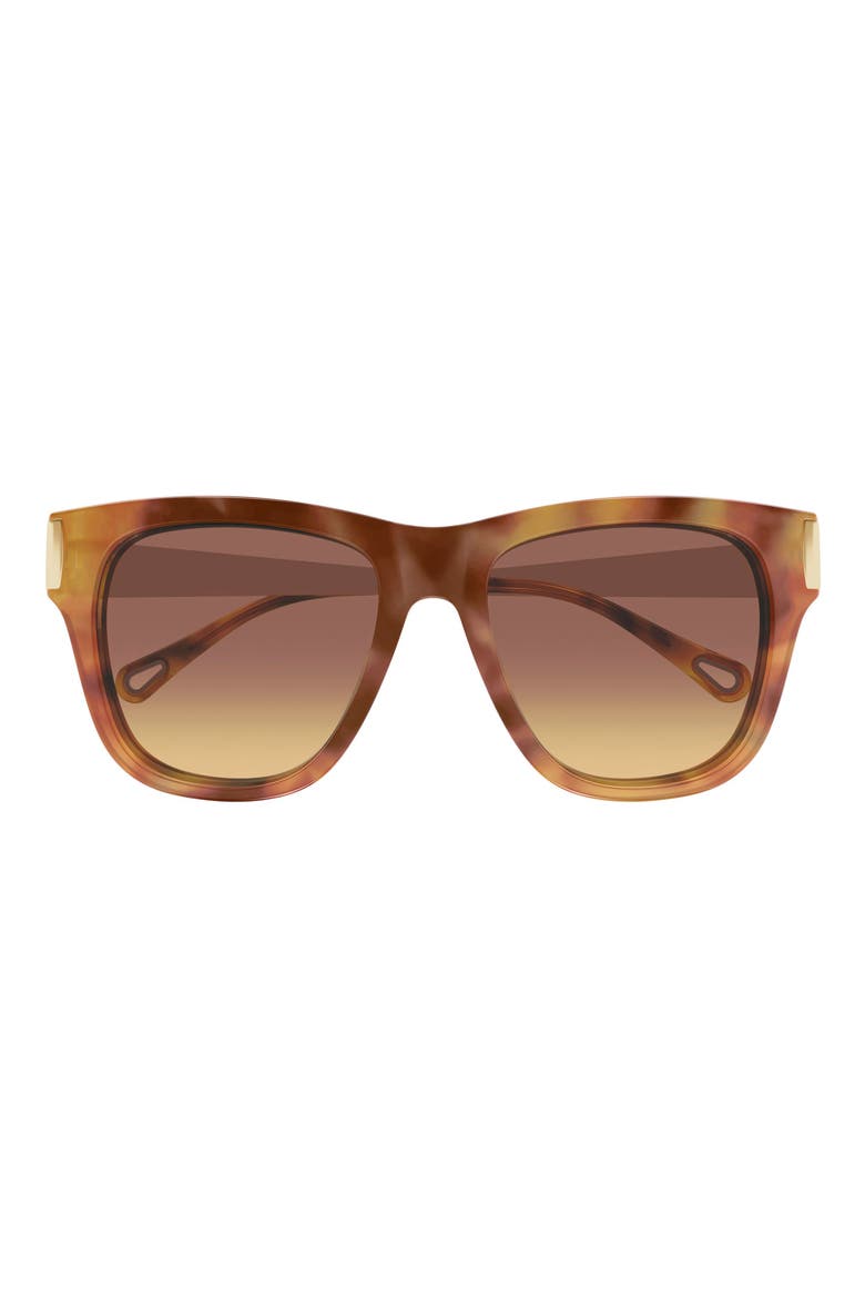 53mm Cat Eye Sunglasses, Main, color, HAVANA