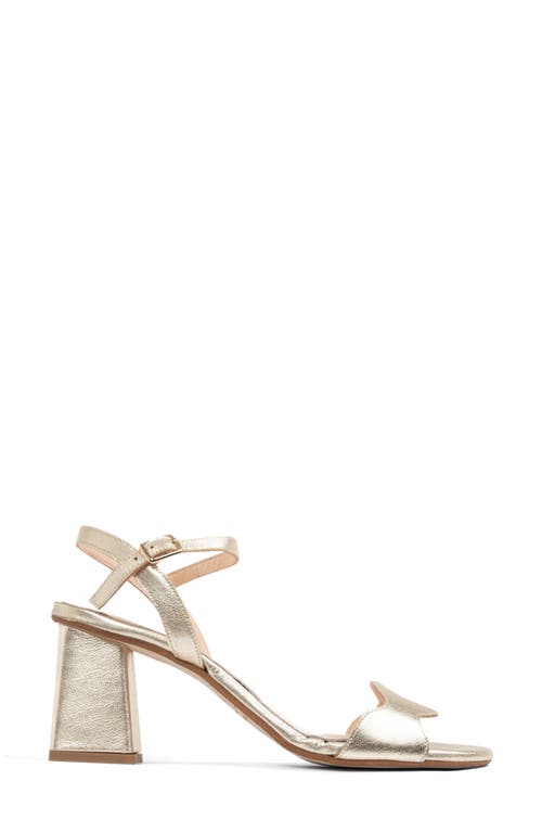 Patricia Green Palm Beach Sandal In Gold Leather