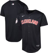 Nike Youth Nike Navy Cleveland Guardians Alternate Limited Jersey
